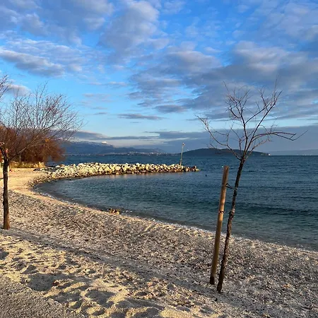 Kaja Kastela